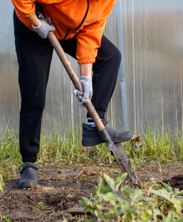 Annual Garden Care Plan as per Indian Seasons & Weather