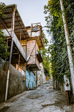 Eco Impact: Flats vs Independent Houses—Which Is Greener for India?