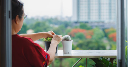 How to Create and Maintain a Herb Garden on Your Terrace in India