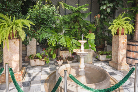 Fountains, water tanks, and water features for Indian terrace gardens