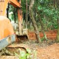 Use of Local Natural Resources in Home Construction and Their Impact in India